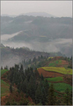 WalkInTheMist